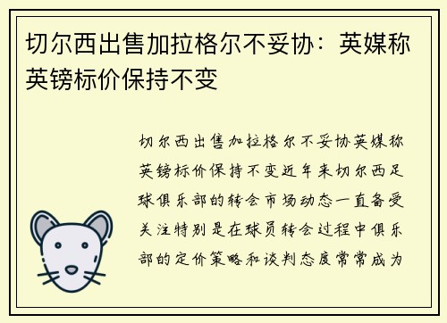 切尔西出售加拉格尔不妥协:英媒称英镑标价保持不变